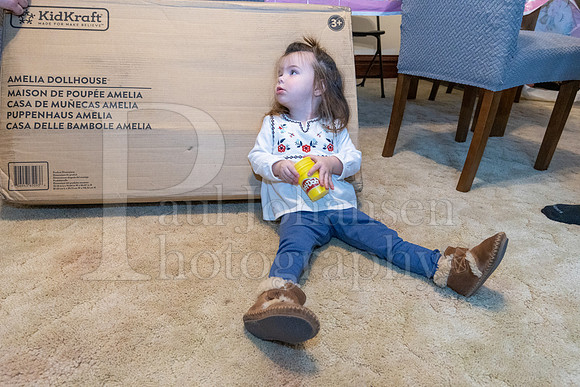 Brinley's 3rd Birthday Party 2-9-2025-1690