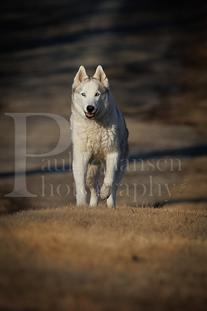 Kato's 13th Birthday Photo Shoot 3-3-2025-0027