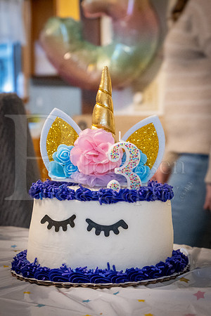 Brinley's 3rd Birthday Party 2-9-2025-1697