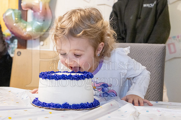 Brinley's 3rd Birthday Party 2-9-2025-1756