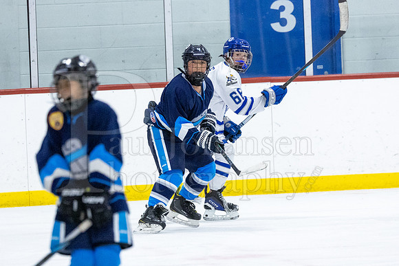 Rockford Hockey Club vs Mammoth 10-27-2024-0573