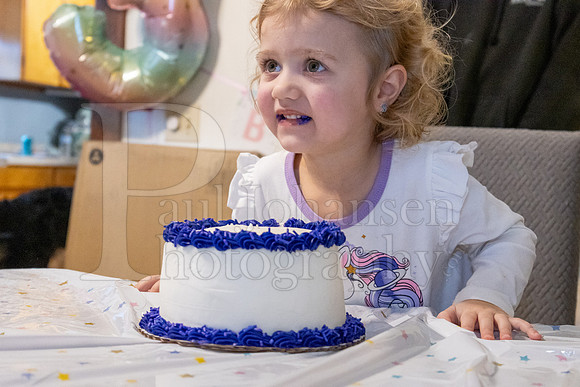 Brinley's 3rd Birthday Party 2-9-2025-1761