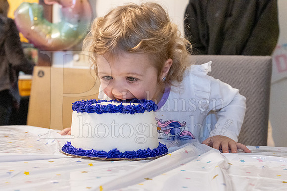 Brinley's 3rd Birthday Party 2-9-2025-1758