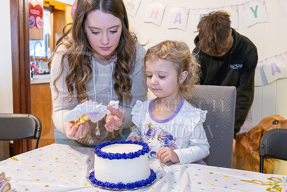 Brinley's 3rd Birthday Party 2-9-2025-1753