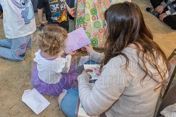 Brinley's 3rd Birthday Party 2-9-2025-1619