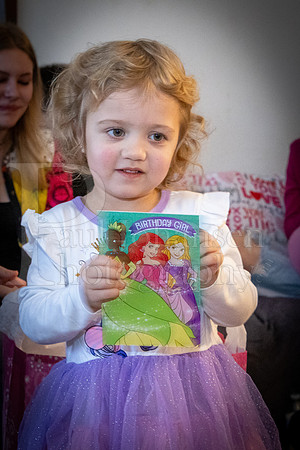Brinley's 3rd Birthday Party 2-9-2025-1666