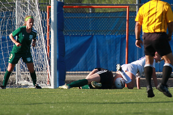 Boylan Girls Varsity Soccer vs Lk Forest SuperSectional 6-3-2014-1551