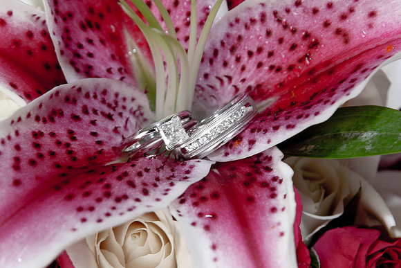 Troyer Wedding-8278