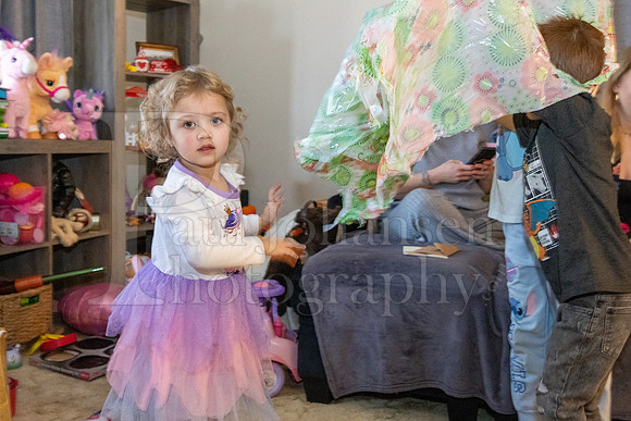 Brinley's 3rd Birthday Party 2-9-2025-1641