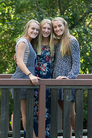 Lindman Engagement Party 7-21-2018-1672
