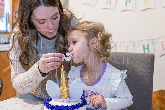 Brinley's 3rd Birthday Party 2-9-2025-1751