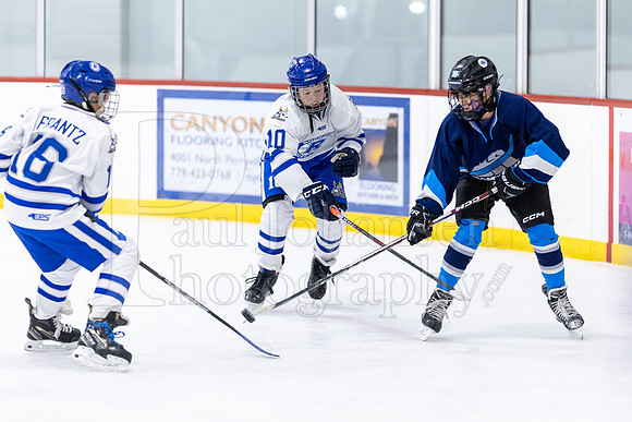 Rockford Hockey Club vs Mammoth 10-27-2024-1492