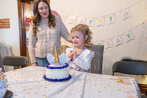 Brinley's 3rd Birthday Party 2-9-2025-1731