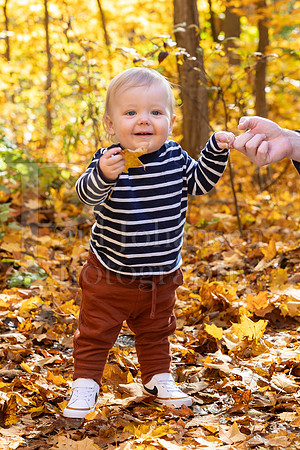 Hills Family Fall Portraits 10-28-2023-0240