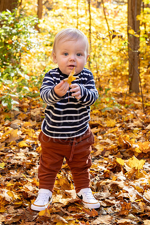 Hills Family Fall Portraits 10-28-2023-0250