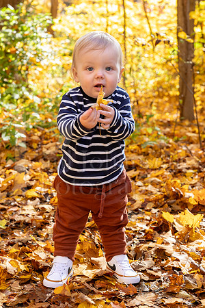 Hills Family Fall Portraits 10-28-2023-0251