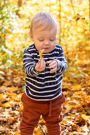 Hills Family Fall Portraits 10-28-2023-0253