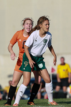 Boylan Girls Varisty Soccer vs Dekalb Sectional Final 5-30-2104-0487
