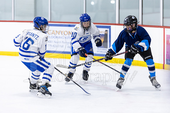 Rockford Hockey Club vs Mammoth 10-27-2024-1493
