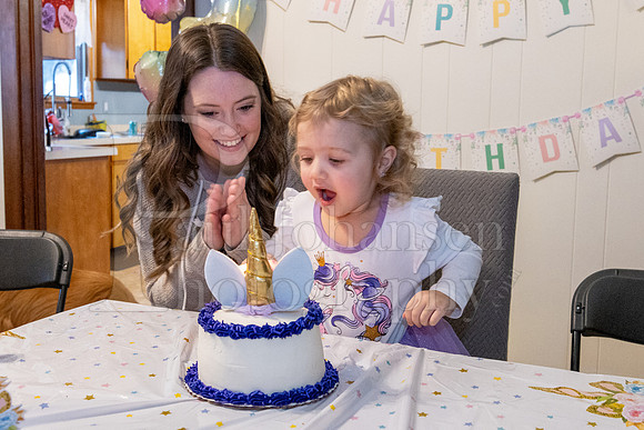 Brinley's 3rd Birthday Party 2-9-2025-1736