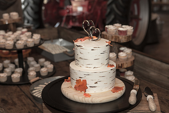 Bauman Stith Wedding 7-15-2017-1555