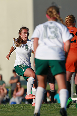 Boylan Girls Varisty Soccer vs Dekalb Sectional Final 5-30-2104-0755
