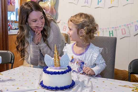 Brinley's 3rd Birthday Party 2-9-2025-1741
