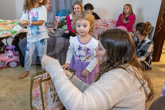 Brinley's 3rd Birthday Party 2-9-2025-1653