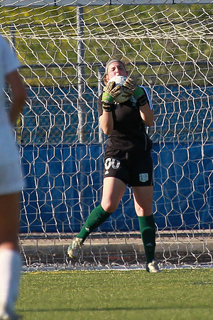 Boylan Girls Varsity Soccer vs Lk Forest SuperSectional 6-3-2014-1623
