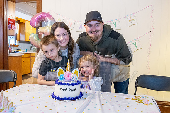 Brinley's 3rd Birthday Party 2-9-2025-1707