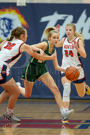 Boylan Girls Varsity Basketball vs Belvidere North 11-28-2023-0167