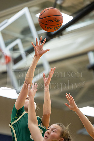 Boylan Girls Varsity Basketball vs Belvidere North 11-28-2023-0321