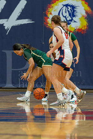 Boylan Girls Varsity Basketball vs Belvidere North 11-28-2023-0344
