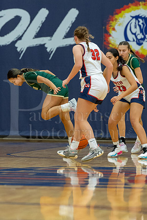 Boylan Girls Varsity Basketball vs Belvidere North 11-28-2023-0347