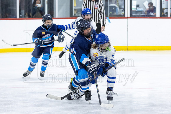 Rockford Hockey Club vs Mammoth 10-27-2024-0537