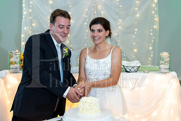 Delehanty Wedding 3-2024-1528