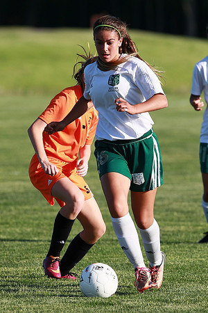 Boylan Girls Varisty Soccer vs Dekalb Sectional Final 5-30-2104-0287