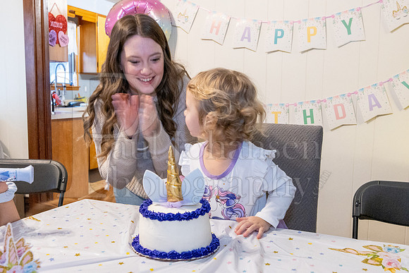 Brinley's 3rd Birthday Party 2-9-2025-1739