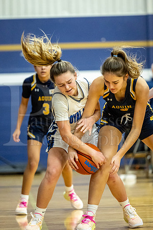 Rockford Christian Girls Varsity Basketball vs Freeport Aquin 12-12-2023-0193