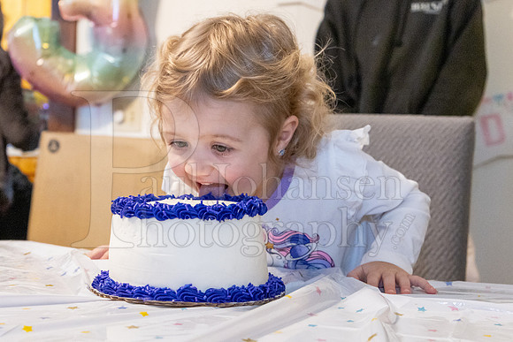 Brinley's 3rd Birthday Party 2-9-2025-1757