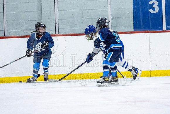 Rockford Hockey Club vs Mammoth 10-27-2024-0593