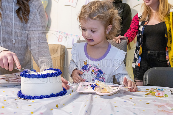 Brinley's 3rd Birthday Party 2-9-2025-1765