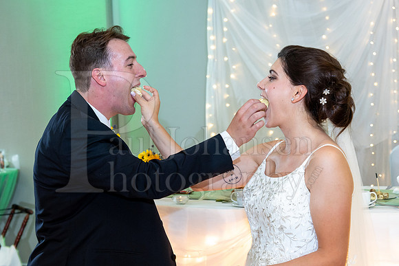 Delehanty Wedding 3-2024-1547
