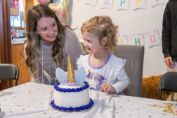 Brinley's 3rd Birthday Party 2-9-2025-1745