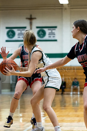 Boylan Girls Varsity Basketball vs Belvidere North 1-19-2024-0221
