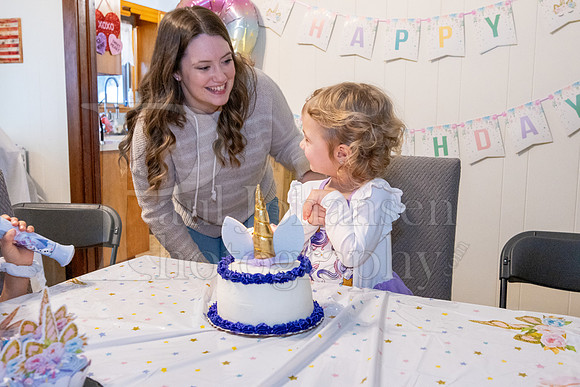 Brinley's 3rd Birthday Party 2-9-2025-1734