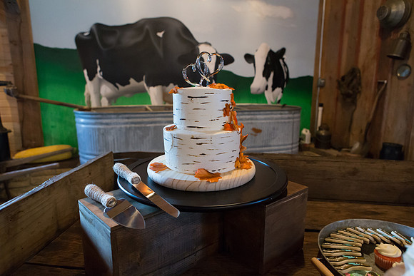 Bauman Stith Wedding 7-15-2017-1540
