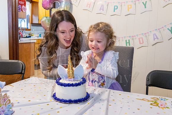 Brinley's 3rd Birthday Party 2-9-2025-1735