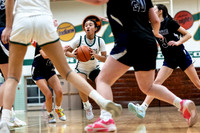 Boylan Girls Varsity Basketball vs Lutheran 2-6-2024