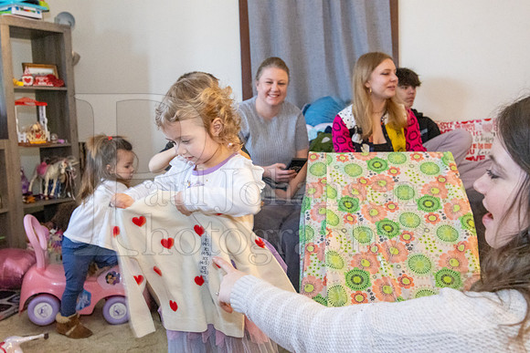 Brinley's 3rd Birthday Party 2-9-2025-1633